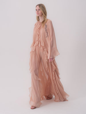 Embroidered and Ruffle-Detailed Chiffon Dress